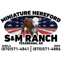 S and M Ranch Mini Herefords